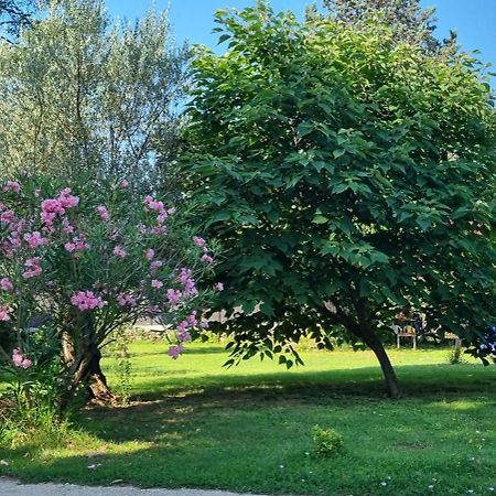 Chambre L'Orchidee Vallon-Pont-dʼArc Kültér fotó
